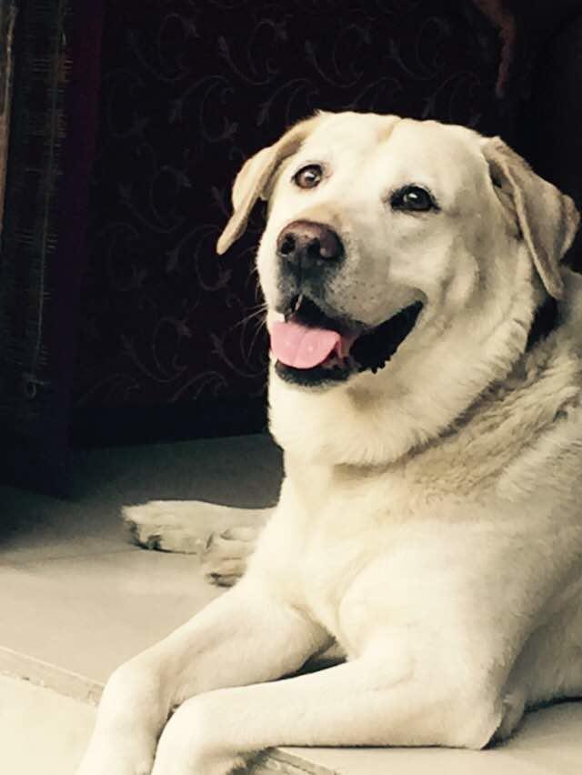 Guest house Grace New Delhi